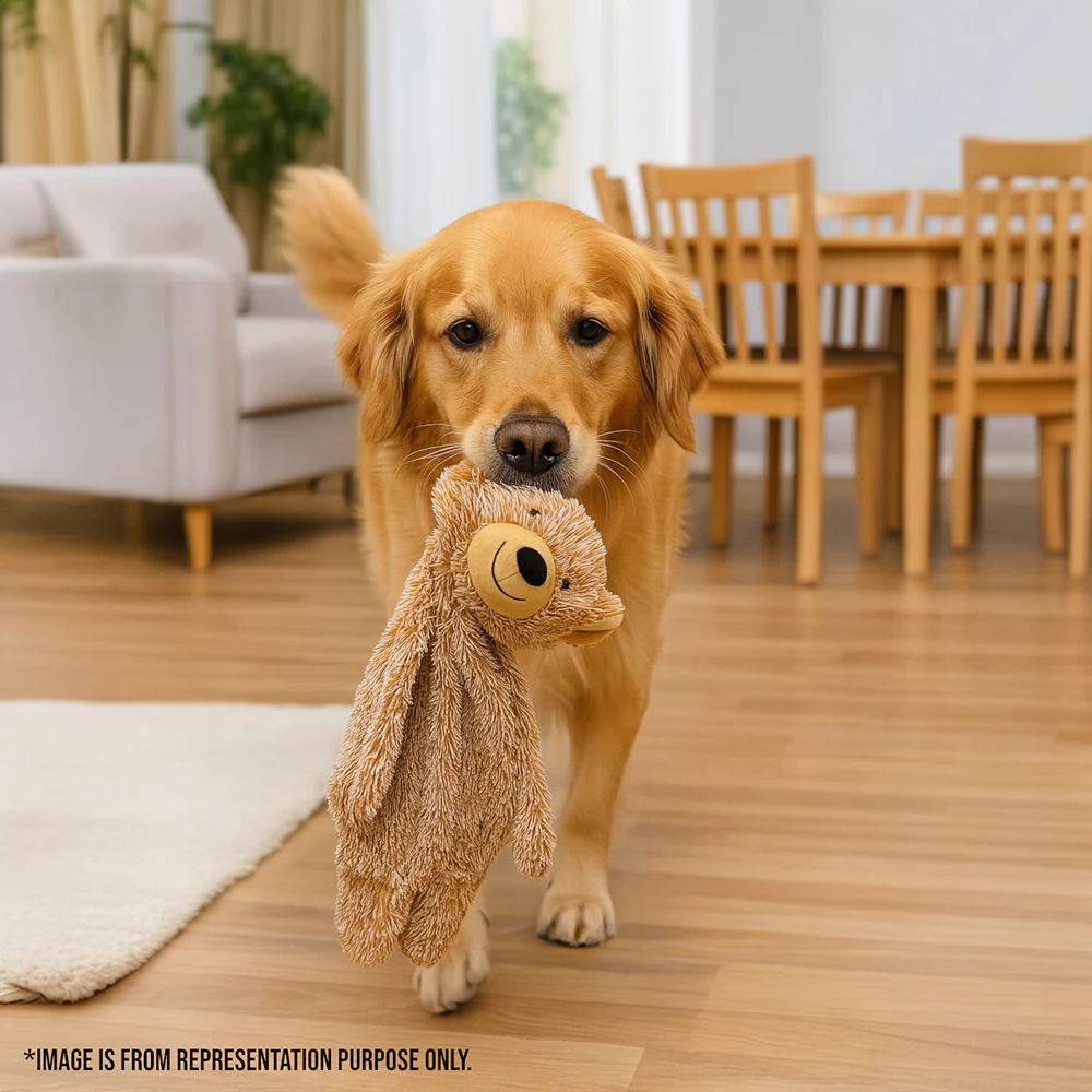 Talking Dog Club Teddy Bear Plush Crinkle Toy for Dogs (Brown) - Image 8