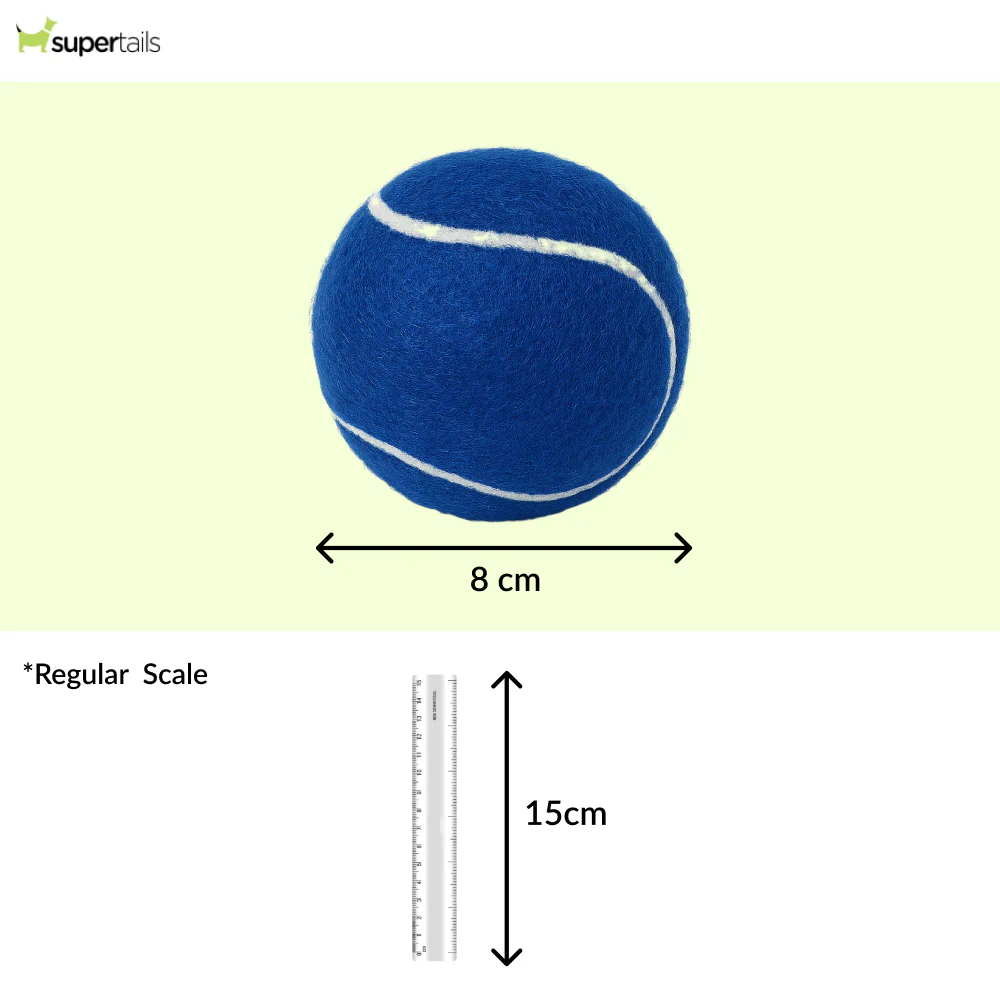 Talking Dog Club Tennis Ball Toy for Dogs (Blue) - Image 2