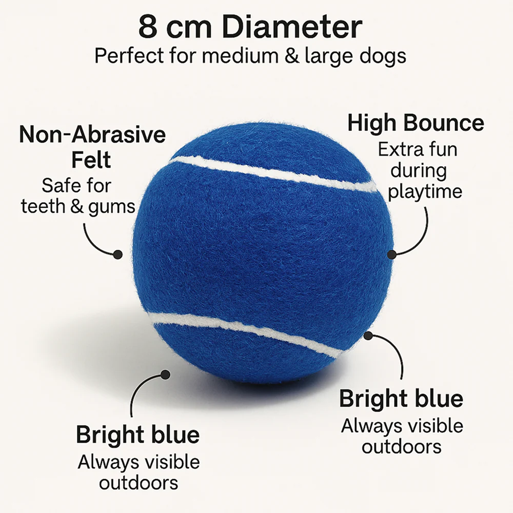 Talking Dog Club Tennis Ball Toy for Dogs (Blue) - Image 3