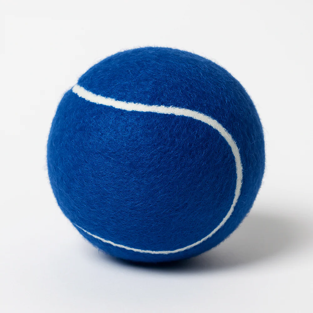 Talking Dog Club Tennis Ball Toy for Dogs (Blue) - Image 4