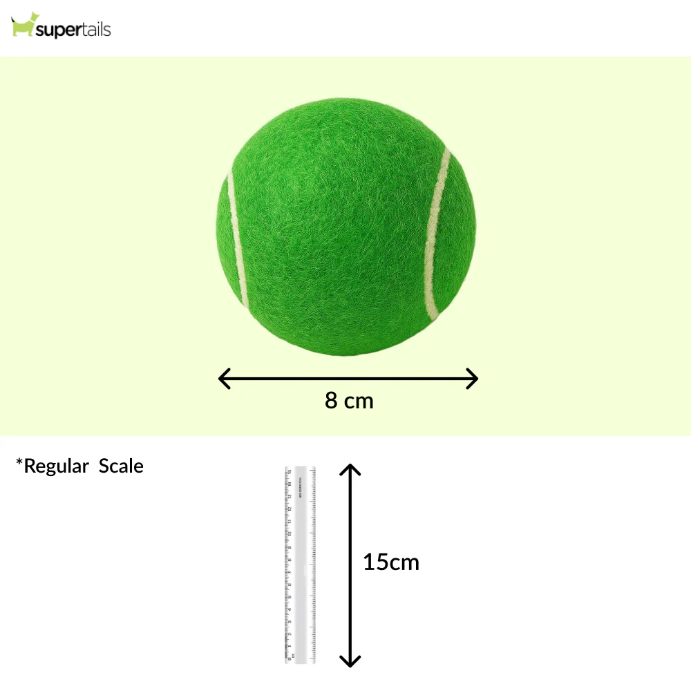 Talking Dog Club Tennis Ball Toy for Dogs (Green) - Image 2