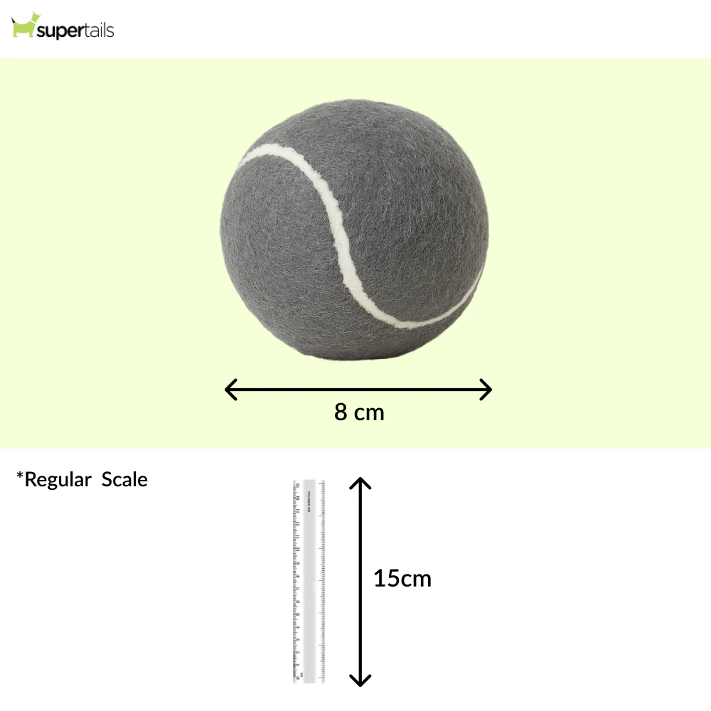 Talking Dog Club Tennis Ball Toy for Dogs (Grey) - Image 2