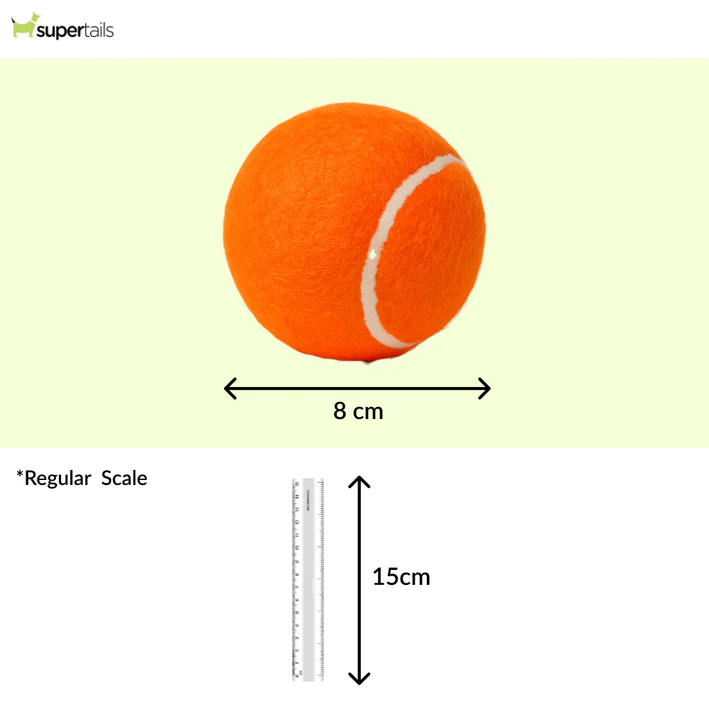 Talking Dog Club Tennis Ball Toy for Dogs (Orange) - Image 2