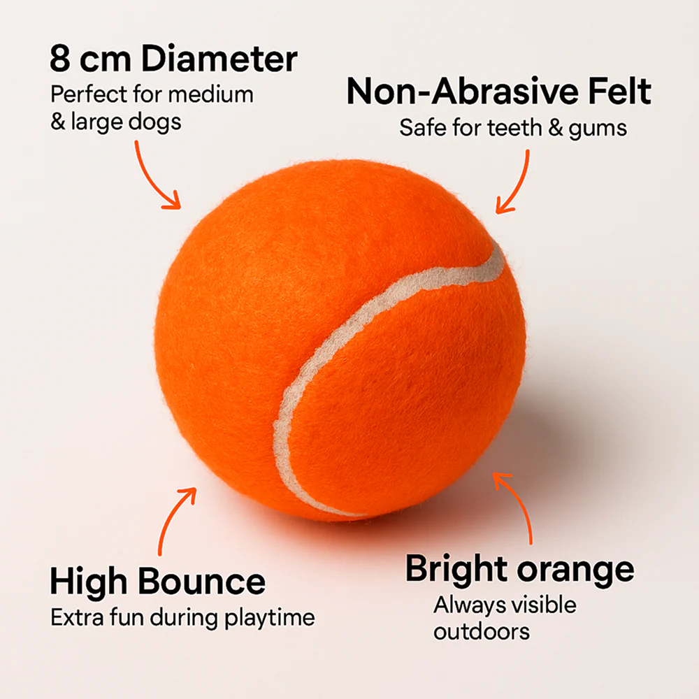 Talking Dog Club Tennis Ball Toy for Dogs (Orange) - Image 4