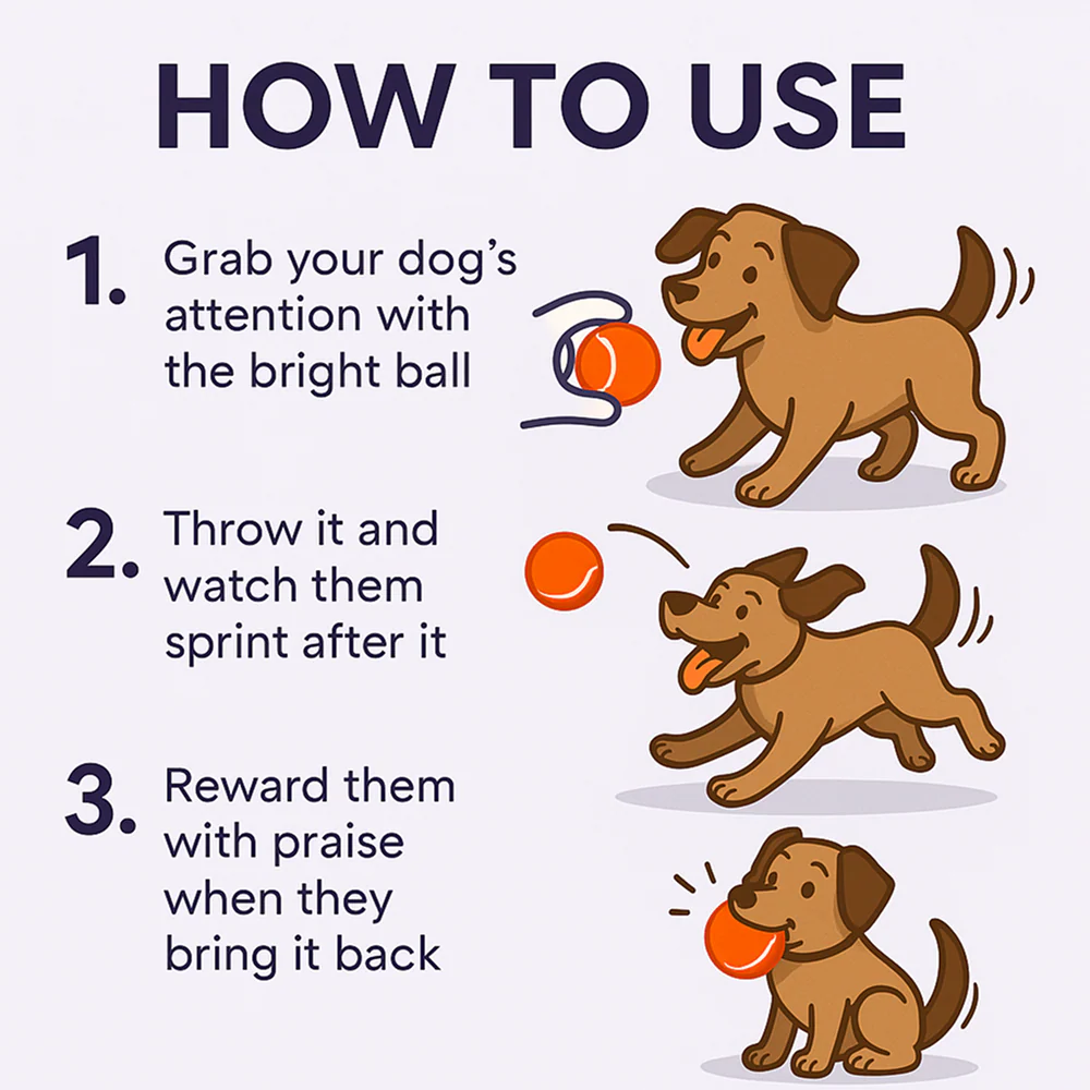 Talking Dog Club Tennis Ball Toy for Dogs (Orange) - Image 6