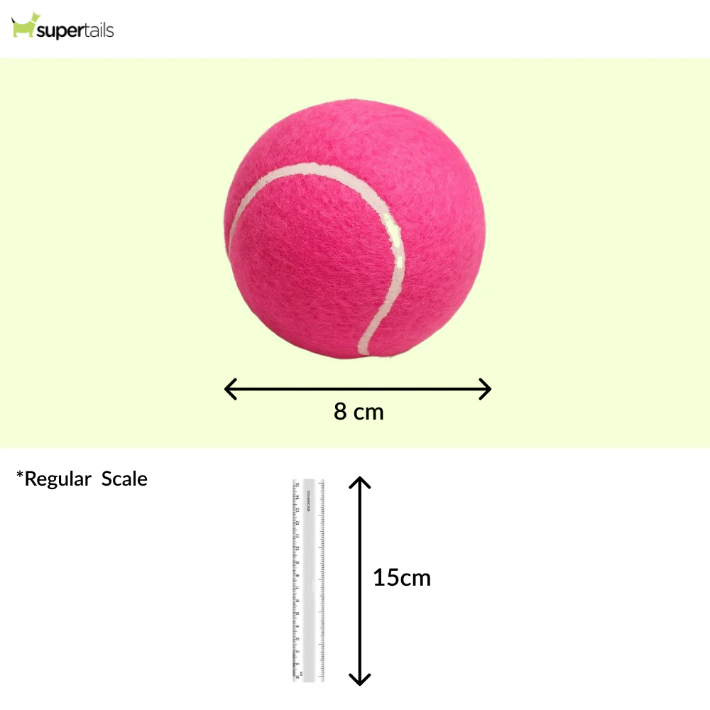Talking Dog Club Tennis Ball Toy for Dogs (Pink) - Image 2