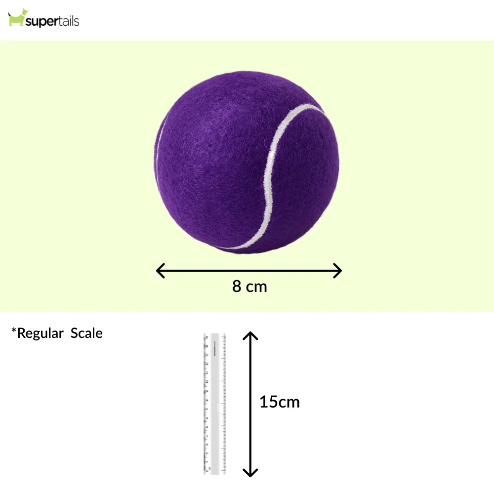 Talking Dog Club Tennis Ball Toy for Dogs (Purple) - Image 2