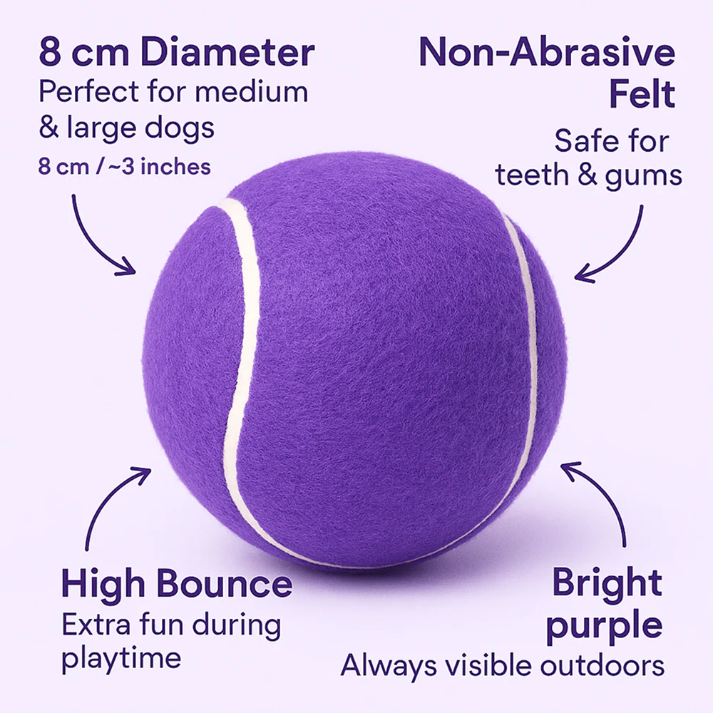 Talking Dog Club Tennis Ball Toy for Dogs (Purple) - Image 3