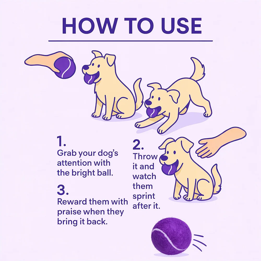 Talking Dog Club Tennis Ball Toy for Dogs (Purple) - Image 4