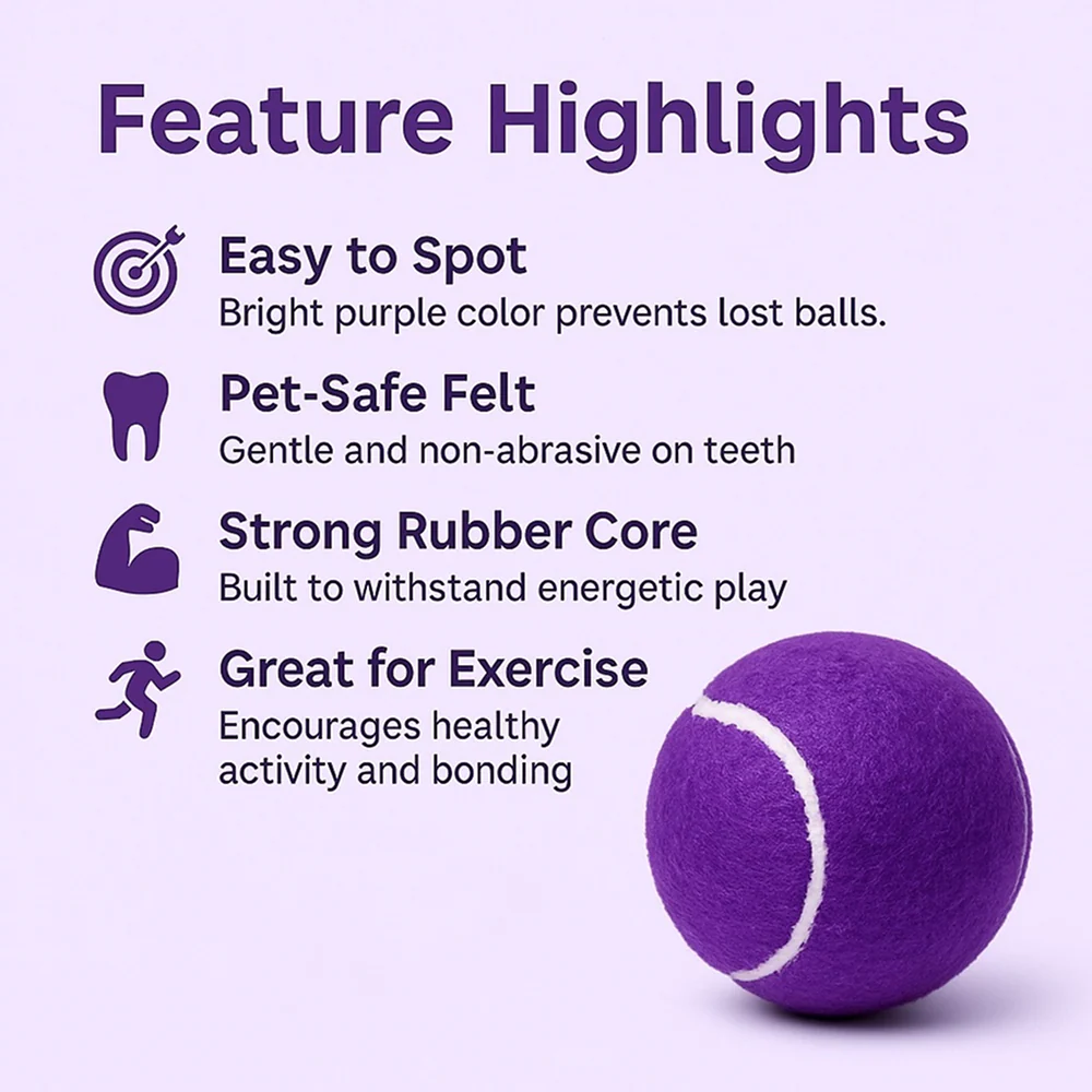 Talking Dog Club Tennis Ball Toy for Dogs (Purple) - Image 5