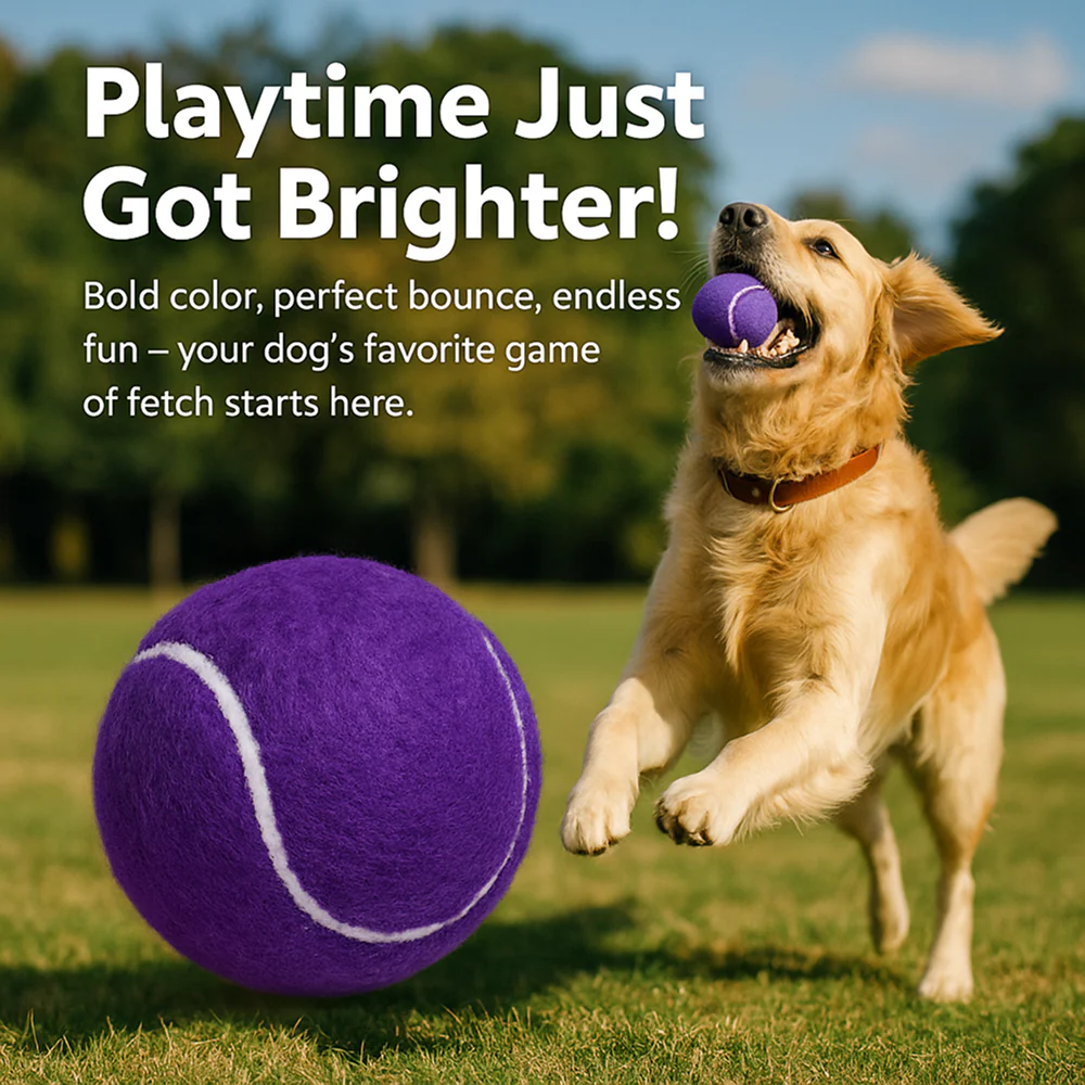 Talking Dog Club Tennis Ball Toy for Dogs (Purple) - Image 7