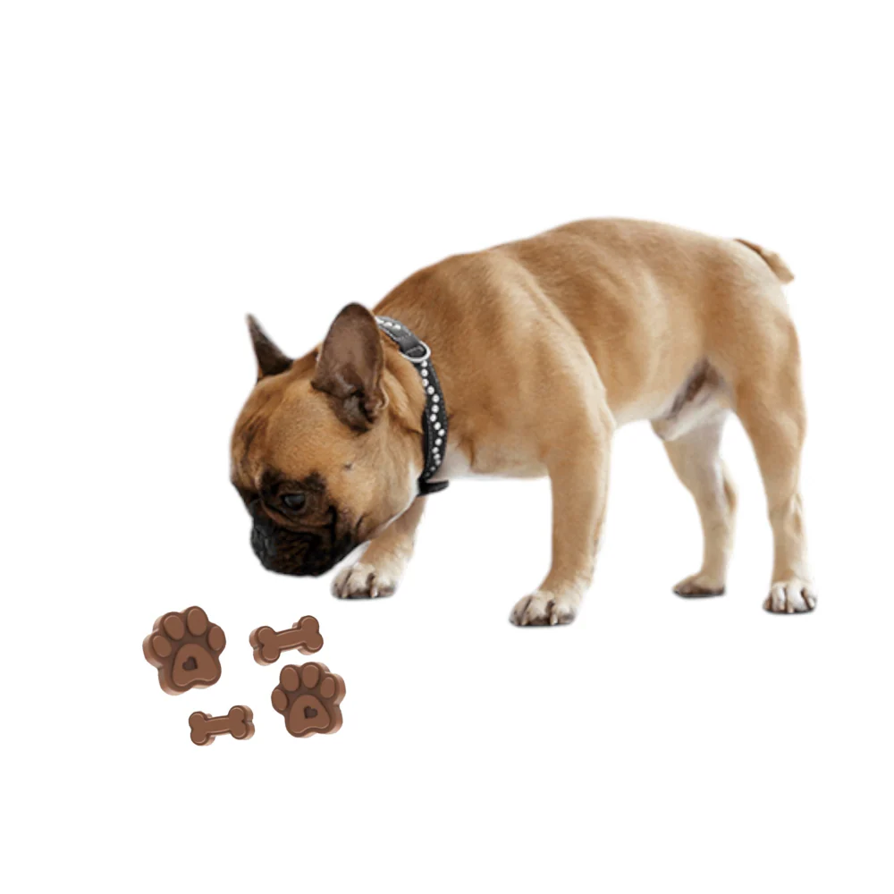 Talking Dog Club Treat Silicon Mould for Dogs (Orange) - Image 4