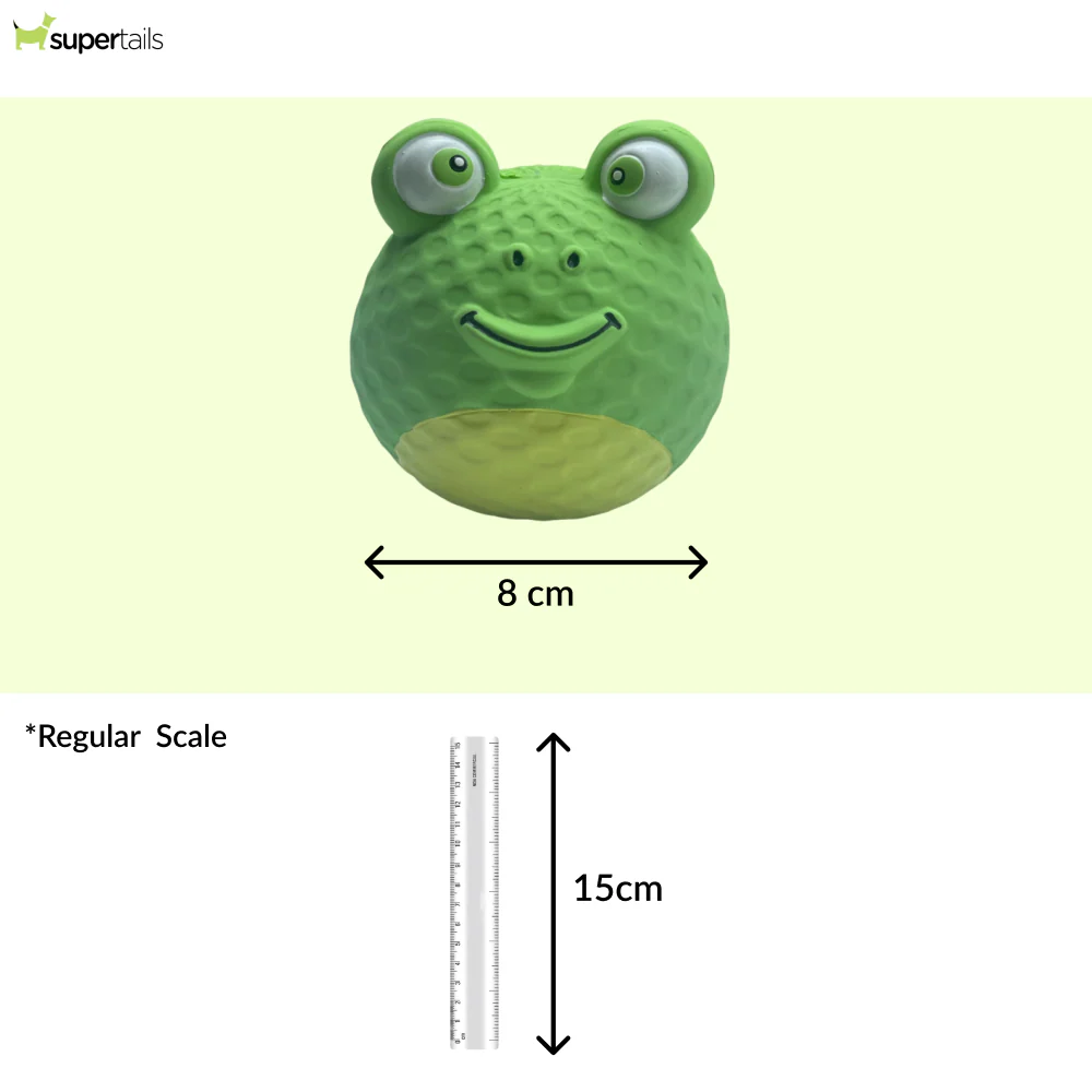 Talking Dog Club Bouncy Frog Squeaky Ball Toy for Dogs (Green) - Image 2