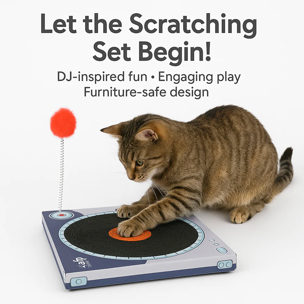 Talking Dog Club Vynil Scratcher Toy for Cats (Black) - Image 3