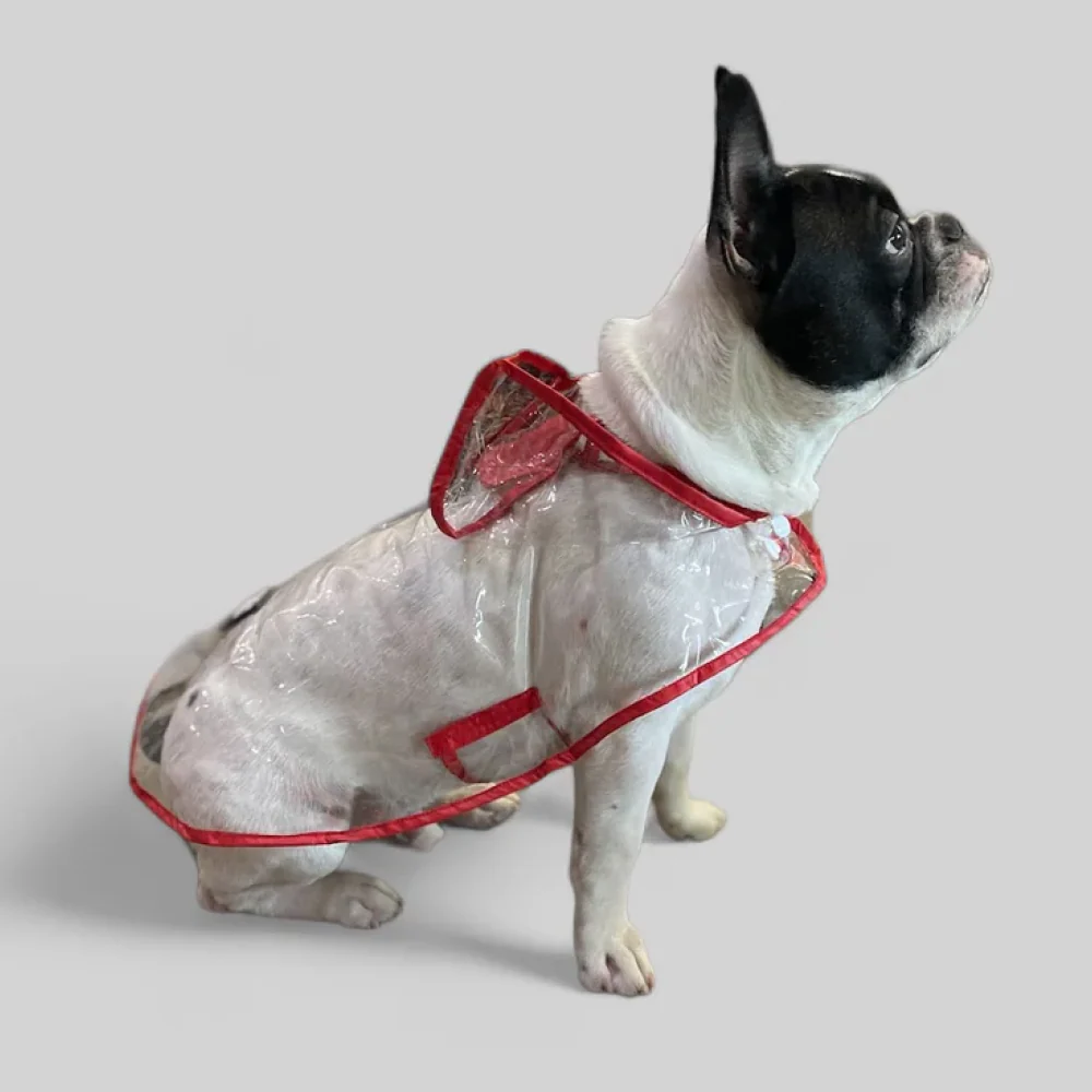 Talking Dog Club Waterproof Raincoat for Dogs (Red) - Image 6
