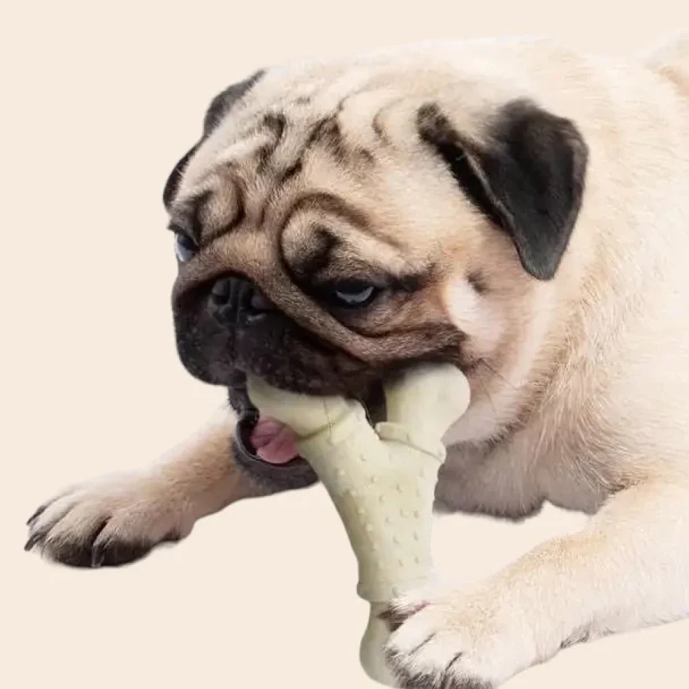 Talking Dog Club Y Shape Nylon Bone Heavy Chew Toy for Dogs (Brown) - Image 7
