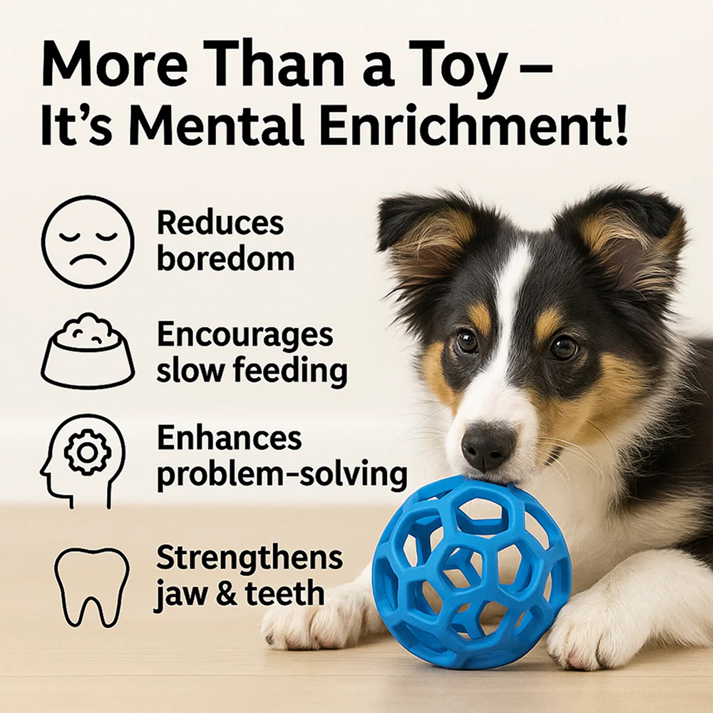 Talking Dog Club Pop Hollow Elastic Interactive Busy Ball Toy for Dogs (Blue) - Image 4