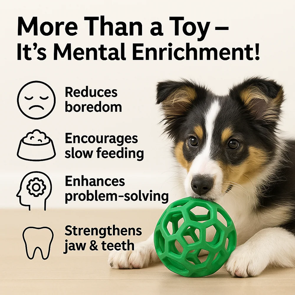 Talking Dog Club Pop Hollow Elastic Interactive Busy Ball Toy for Dogs (Green) - Image 4