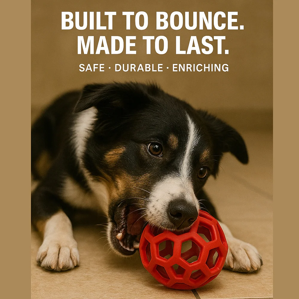 Talking Dog Club Pop Hollow Elastic Interactive Busy Ball Toy for Dogs (Red) - Image 3