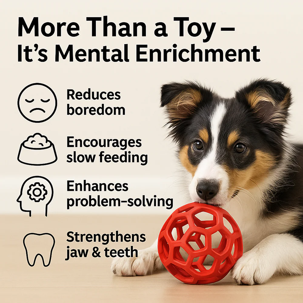Talking Dog Club Pop Hollow Elastic Interactive Busy Ball Toy for Dogs (Red) - Image 4