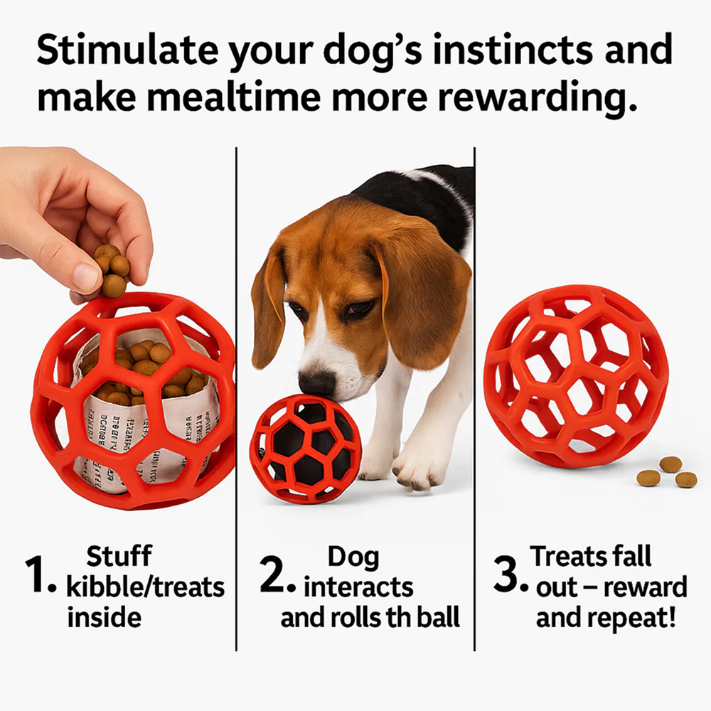 Talking Dog Club Pop Hollow Elastic Interactive Busy Ball Toy for Dogs (Red) - Image 9