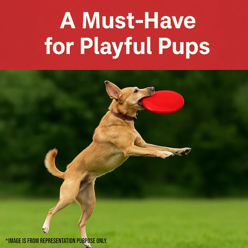 Talking Dog Club Pop Light weight Frisbee Toy for Dogs (Red) - Image 2