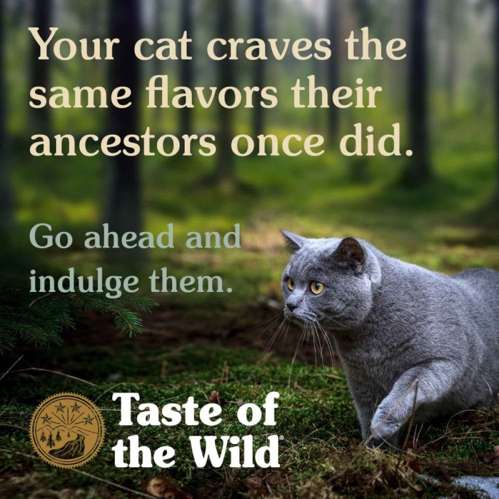 Taste of the Wild Canyon River Feline Recipe with Trout & Smoked Salmon Cat Dry Food | Grain Free Formula - Image 6