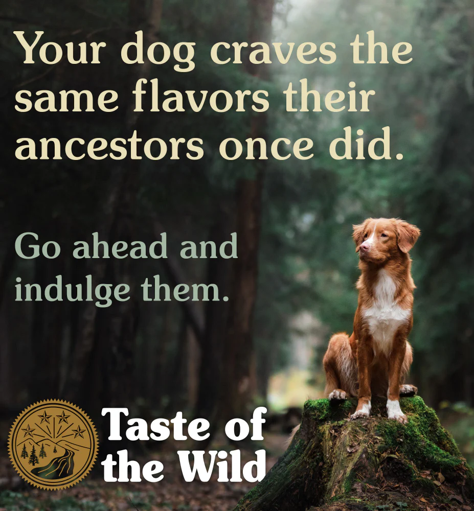 Taste of the Wild Pacific Stream Smoked Salmon Adult Dog Dry Food | Grain Free Formula - Image 5