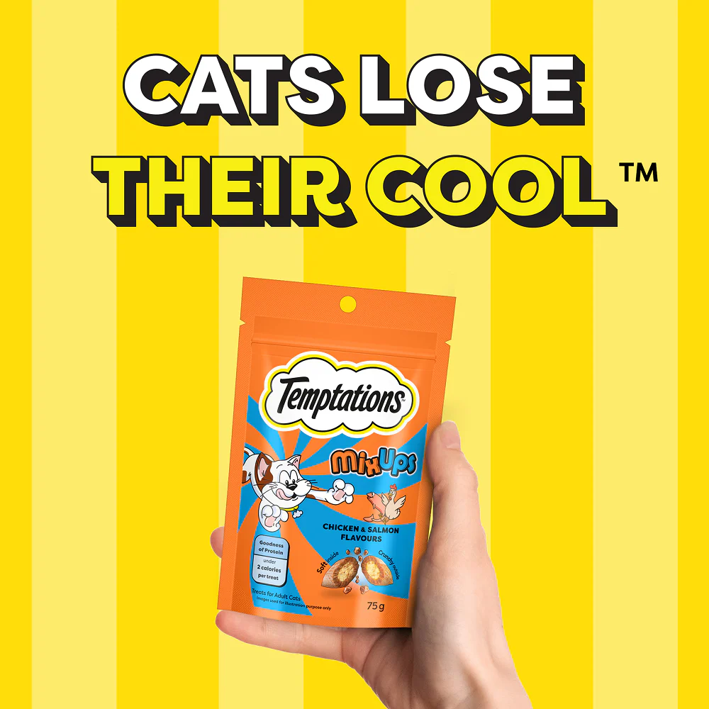 Temptations MixUps Chicken & Salmon Flavour Cat Treats - Image 11