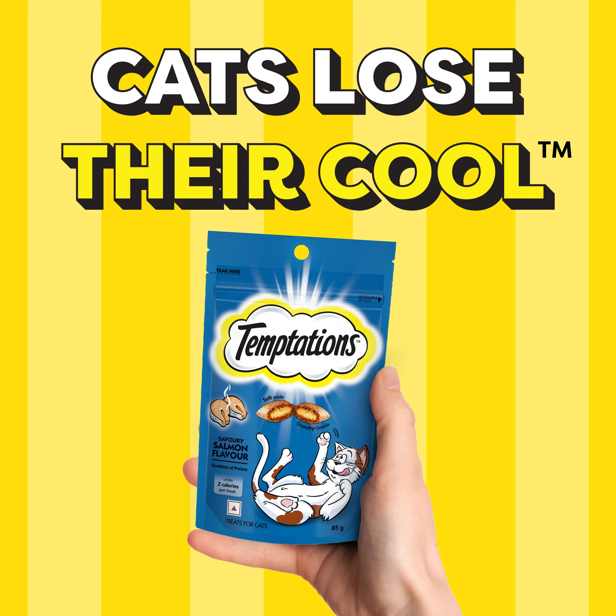 Temptations Savoury Salmon Flavour Cat Treats - Image 8