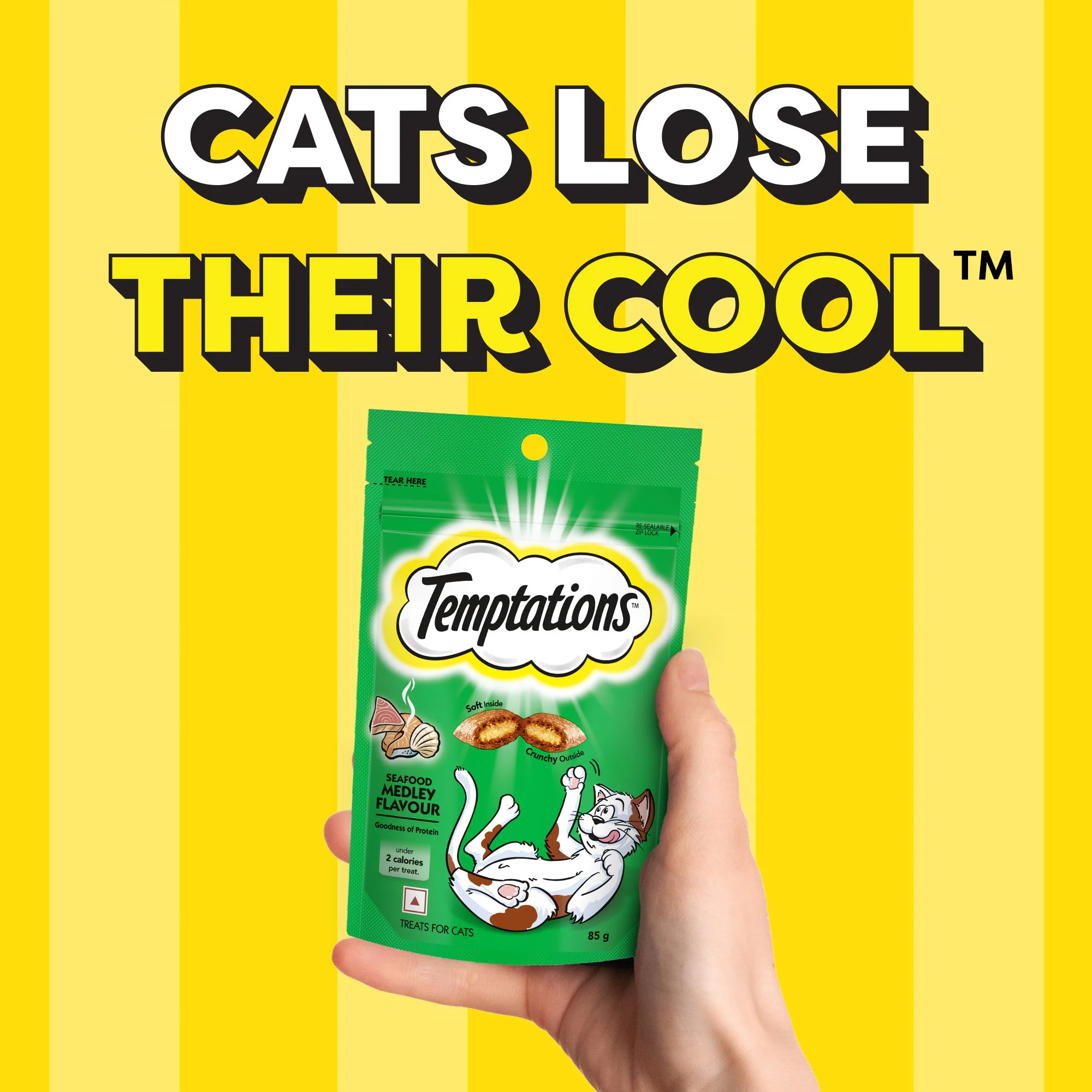 Temptations Seafood Medley Flavour Cat Treats - Image 8