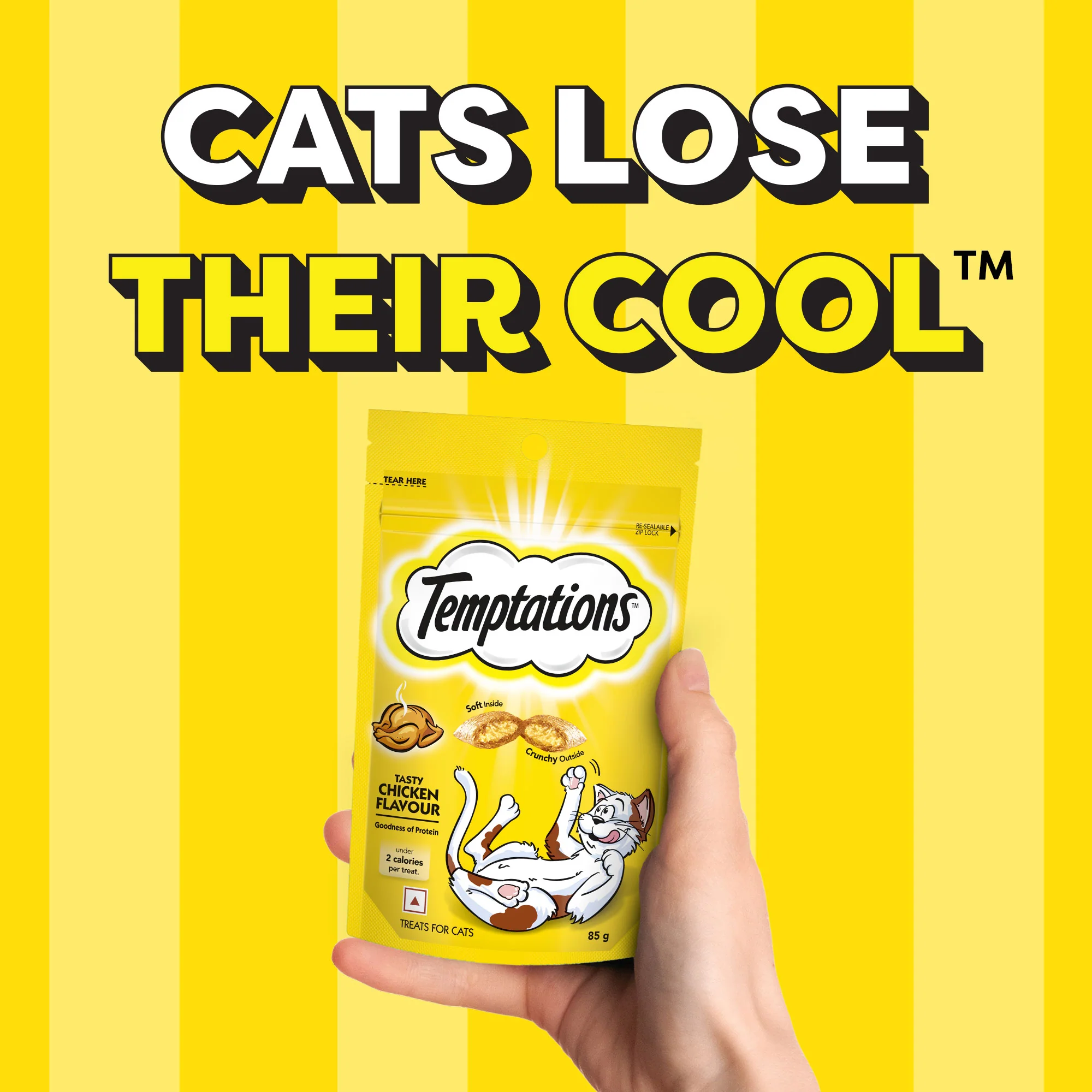 Temptations Tasty Chicken Flavour Cat Treats - Image 7