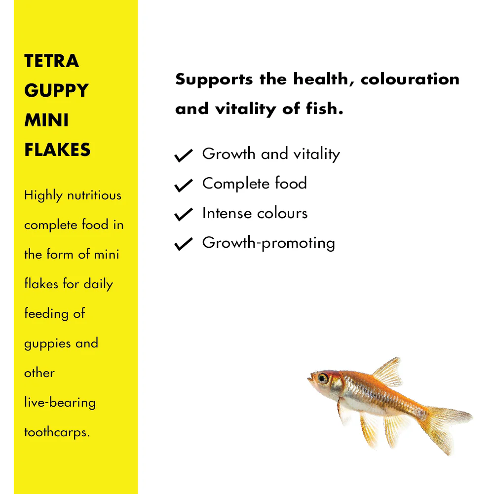 Tetra Complete Guppy Fish Food - Image 4