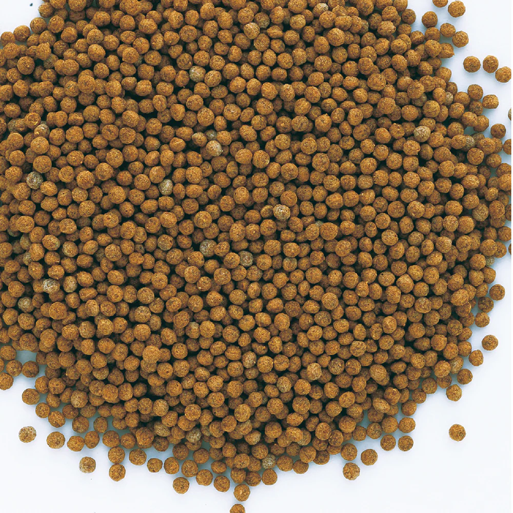 Tetra Gold Exotic Gold Fish Food - Image 5