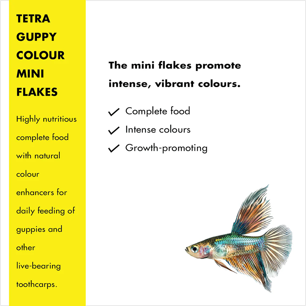 Tetra Guppy Colour Mini Flakes Fish Treat - Image 3