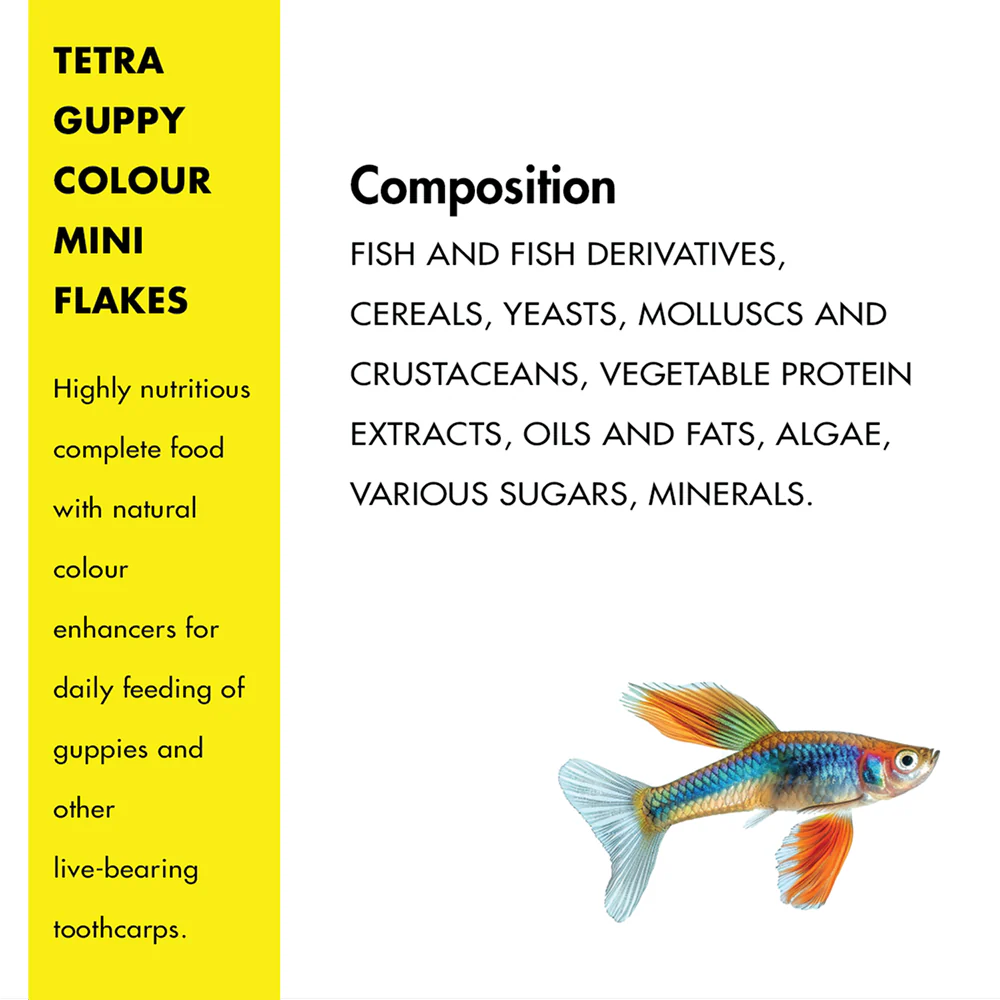 Tetra Guppy Colour Mini Flakes Fish Treat - Image 5