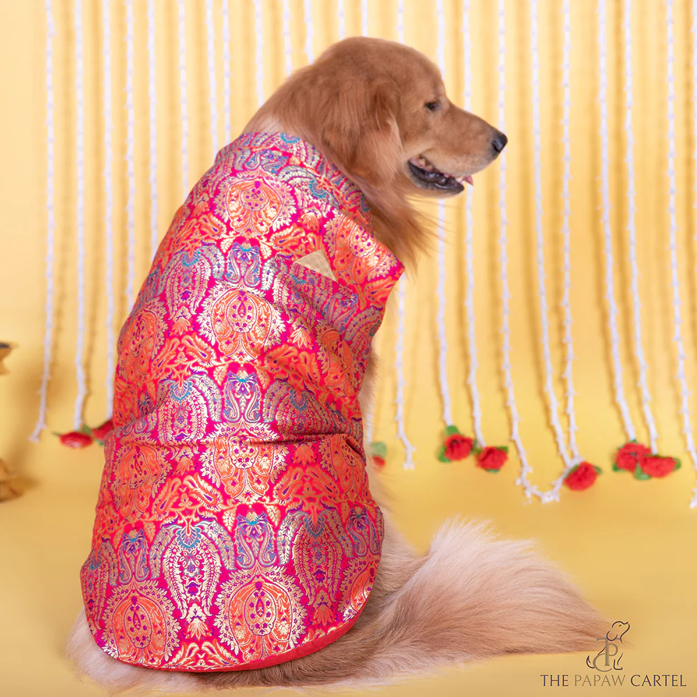 The Papaw Cartel Banarasi Brocade Sleeveless Sherwani with Pocket Square for Dogs & Cats - Image 3