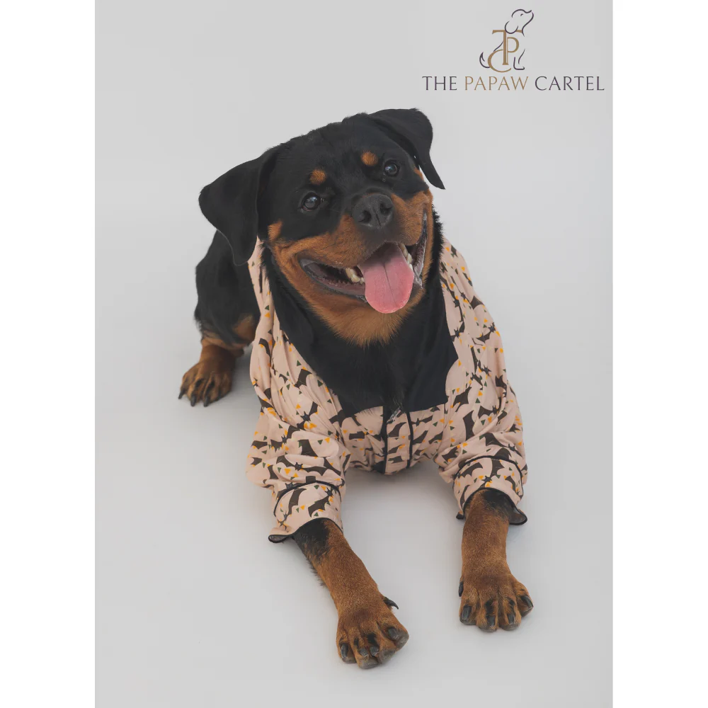 The Papaw Cartel Bat And Bunting Shirt With Bat Wing Collar for Dogs (Peach) - Image 4