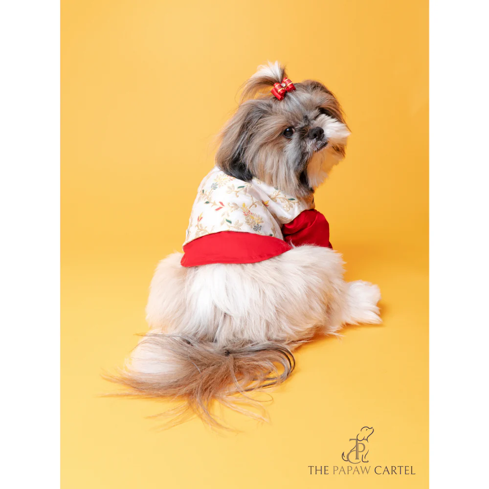 The Papaw Cartel Brocade Zari Koti With Gotapati Kurta For Dogs (White and Red) - Image 3