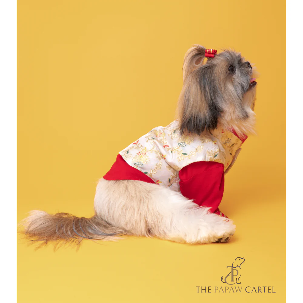 The Papaw Cartel Brocade Zari Koti With Gotapati Kurta For Dogs (White and Red) - Image 4