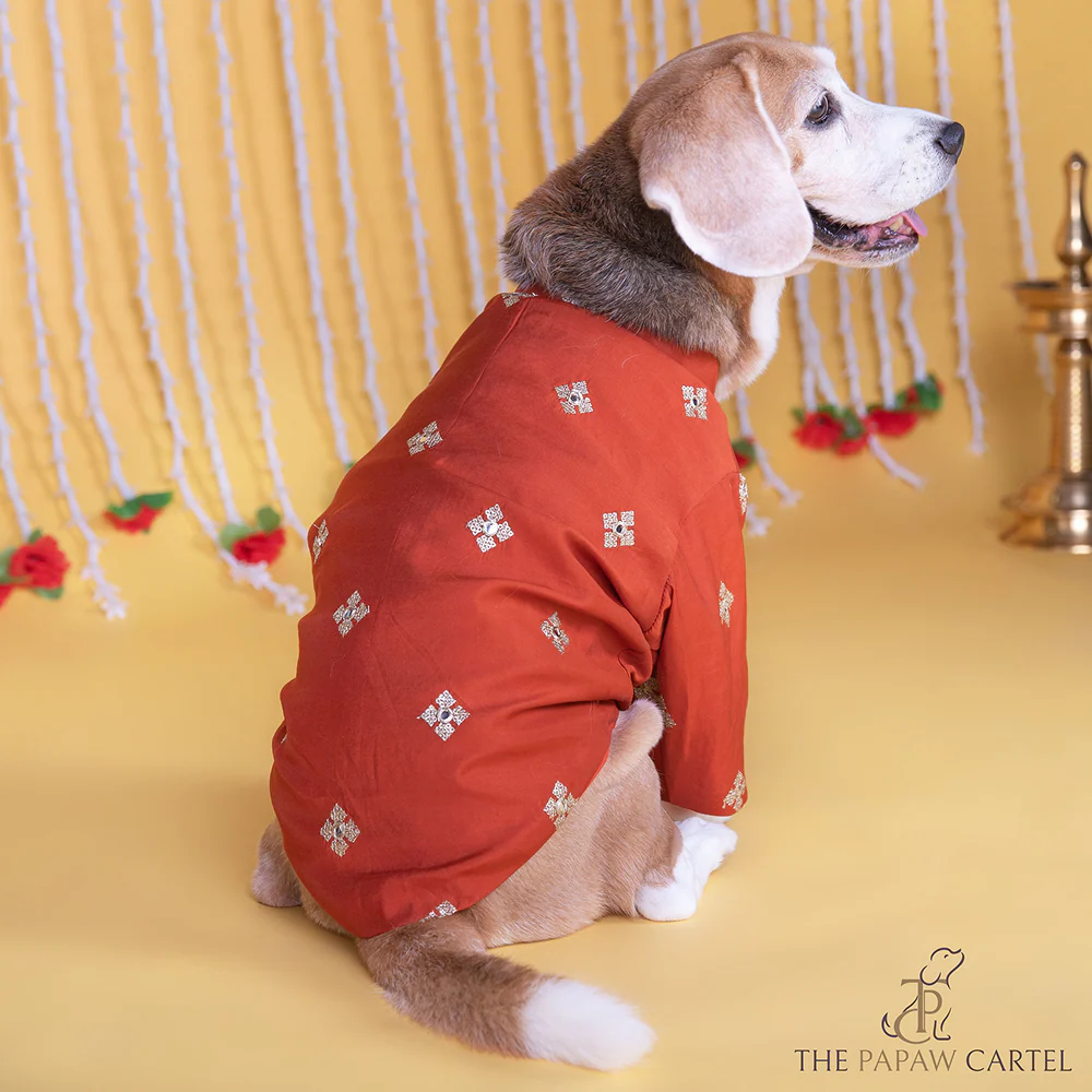 The Papaw Cartel Butta Festive Embroidered Kurta for Dogs & Cats (Orange) - Image 3