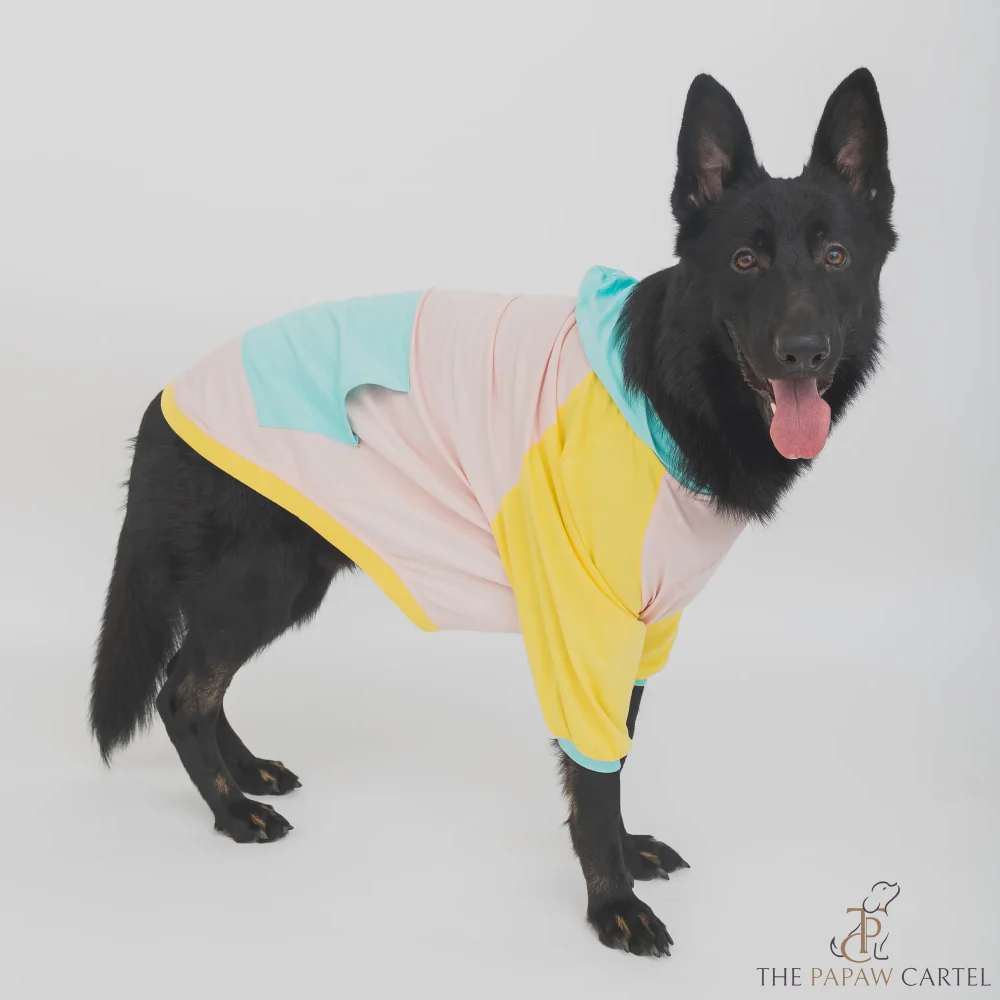The Papaw Cartel Candy Floss Color Blocking Hoodie Tshirt for Dogs (Pink/Blue/Yellow) - Image 3