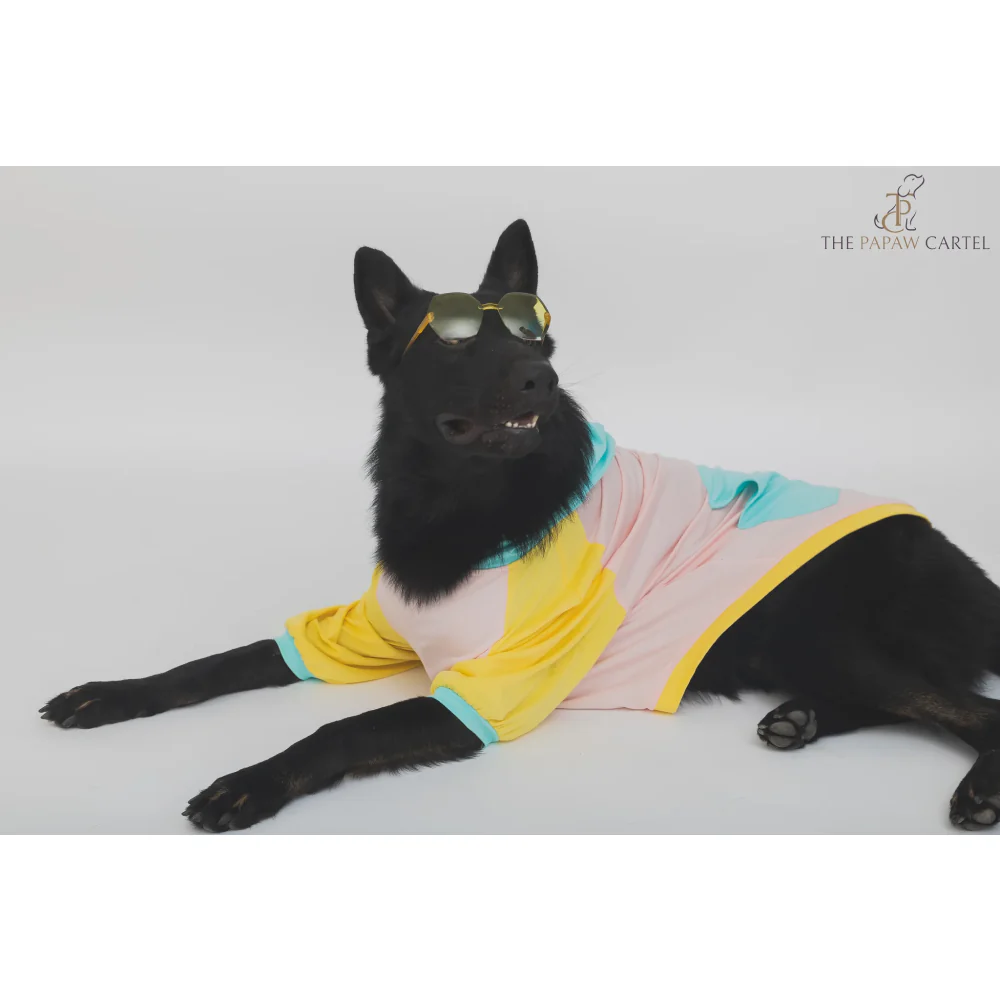 The Papaw Cartel Candy Floss Color Blocking Hoodie Tshirt for Dogs (Pink/Blue/Yellow) - Image 4