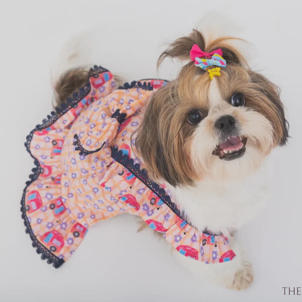 The Papaw Cartel Caravan Plaid Frilled Dress With A Bow for Dogs (Light Pink/Orange) - Image 4