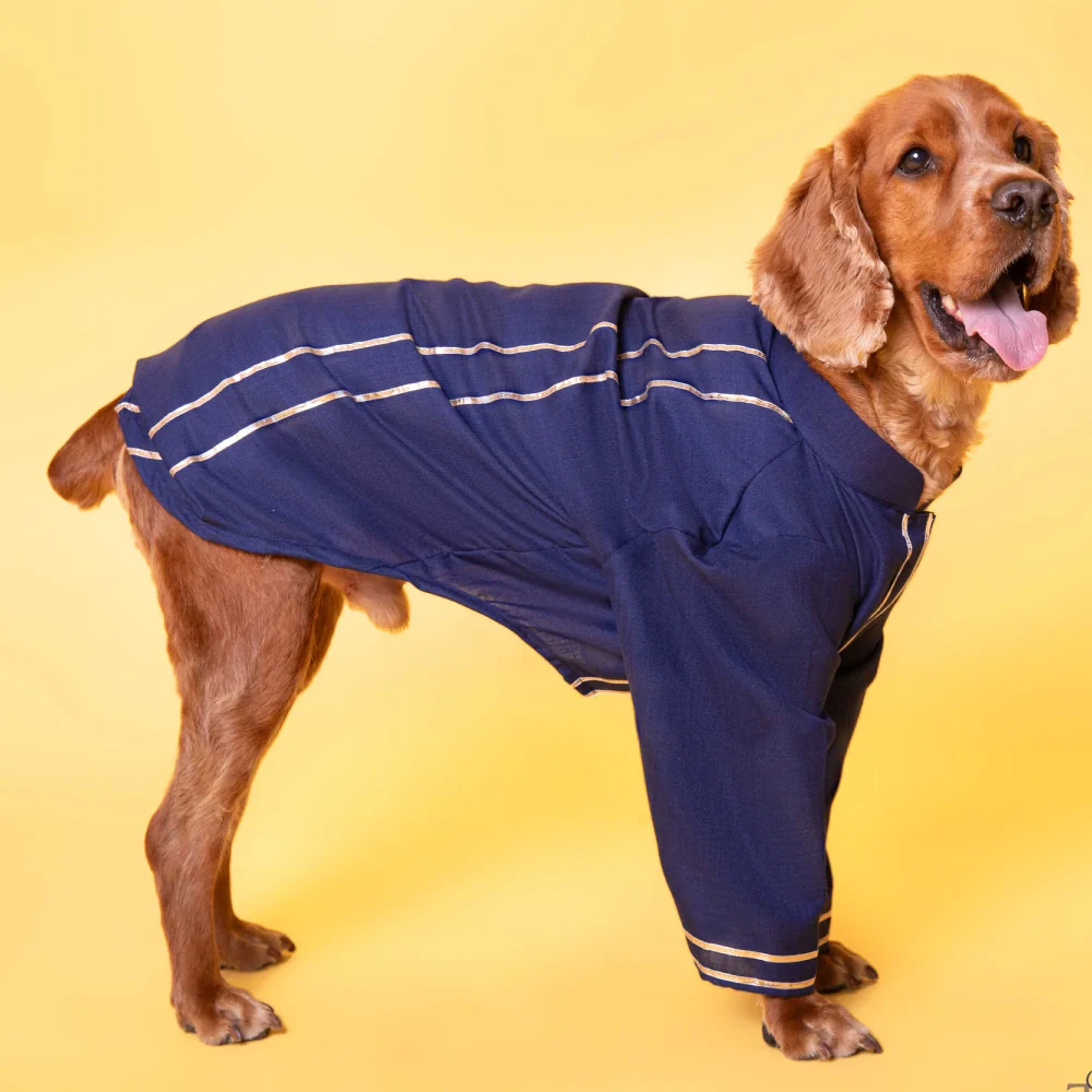 The Papaw Cartel Classic Gotapati Kurta for Dogs (Navy Blue ) - Image 4