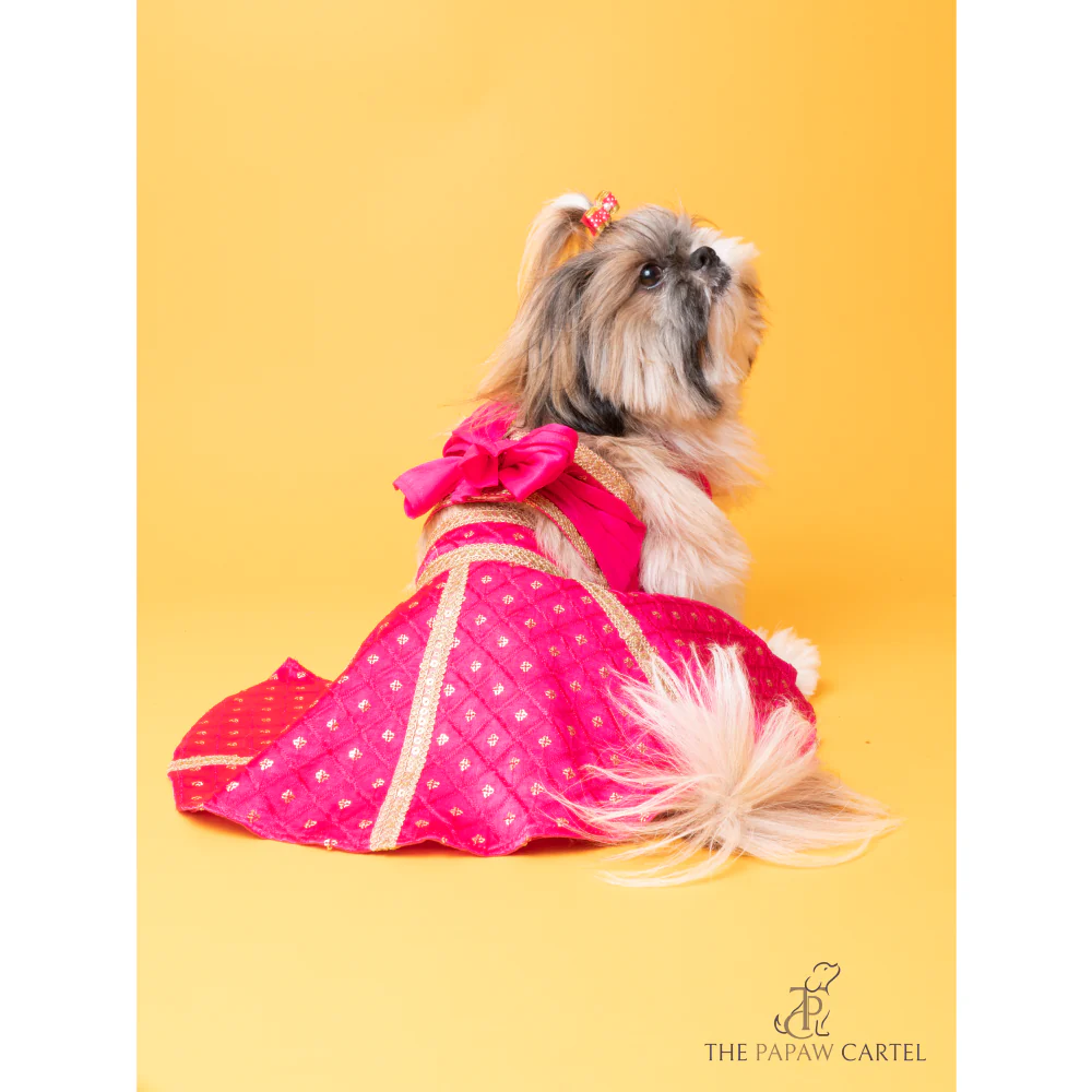 The Papaw Cartel Crossbody Choli With Hot Embroidered Lehenga For Dogs (Pink) - Image 2