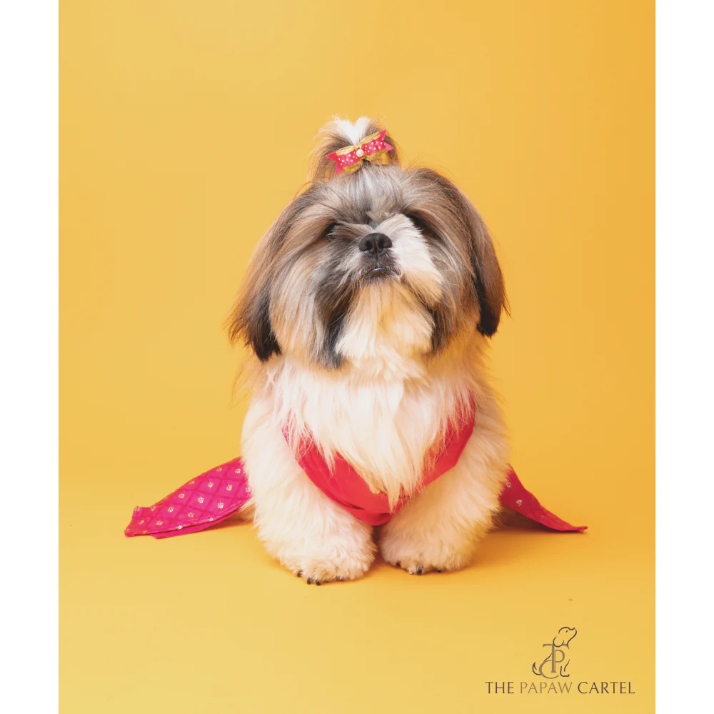 The Papaw Cartel Crossbody Choli With Hot Embroidered Lehenga For Dogs (Pink) - Image 3