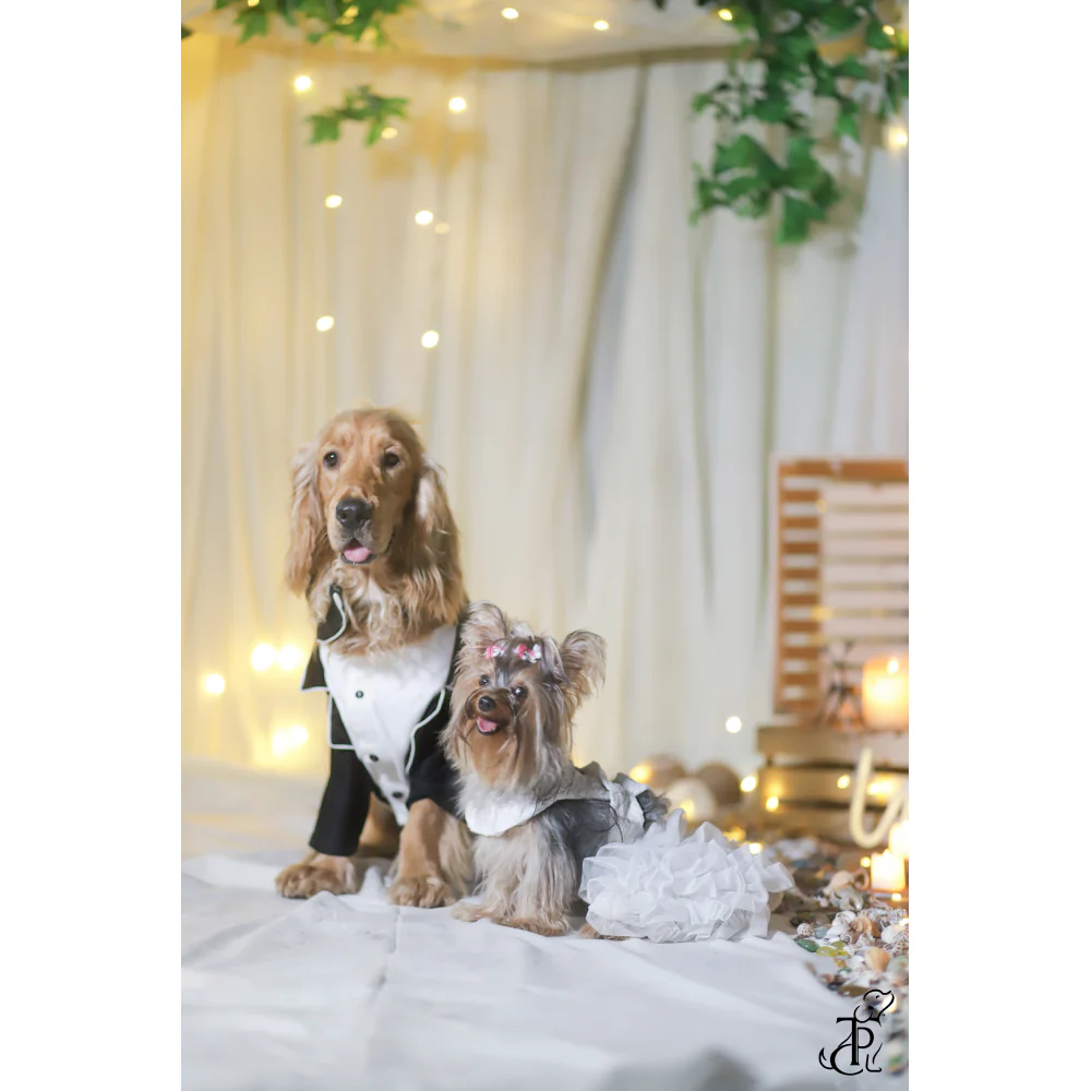 The Papaw Cartel Dapper Styled Button Down Tuxedo for Dogs (Black) - Image 2