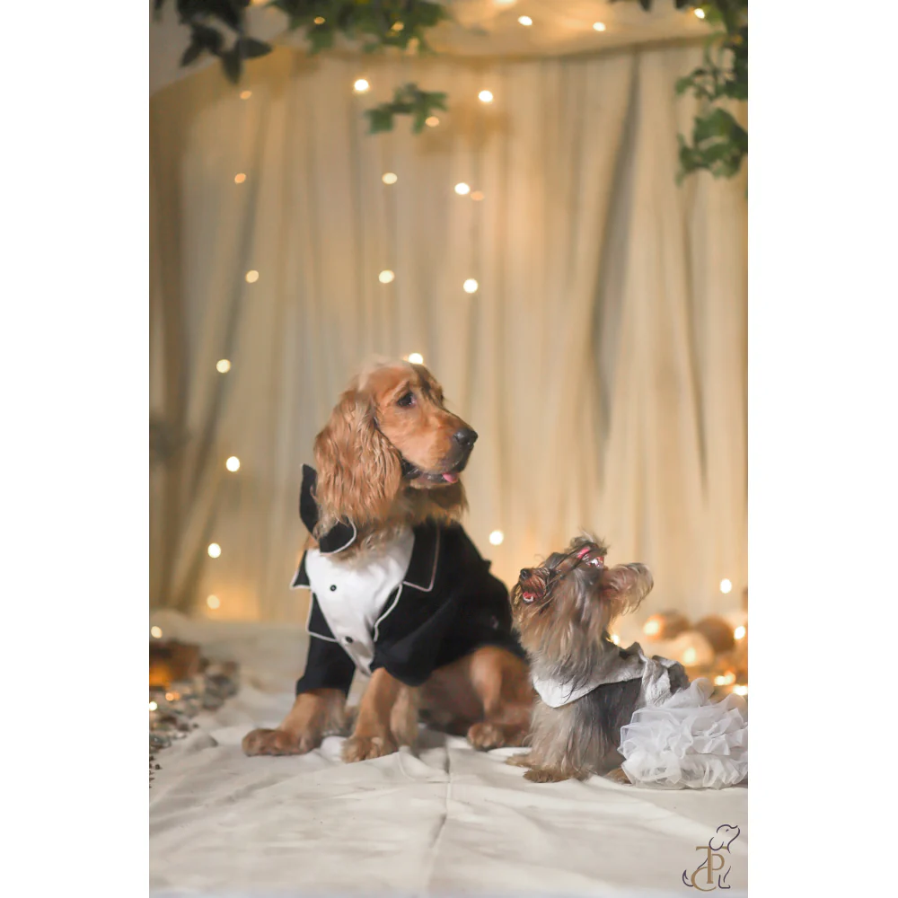 The Papaw Cartel Dapper Styled Button Down Tuxedo for Dogs (Black) - Image 3