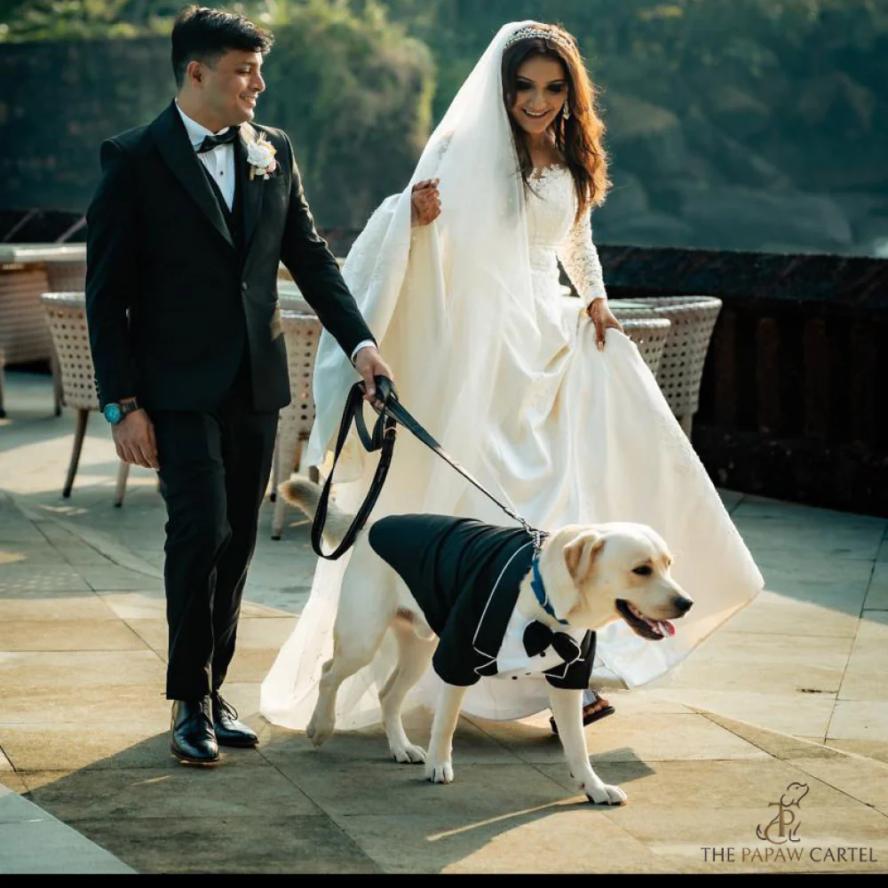 The Papaw Cartel Dapper Styled Button Down Tuxedo for Dogs (Black) - Image 4